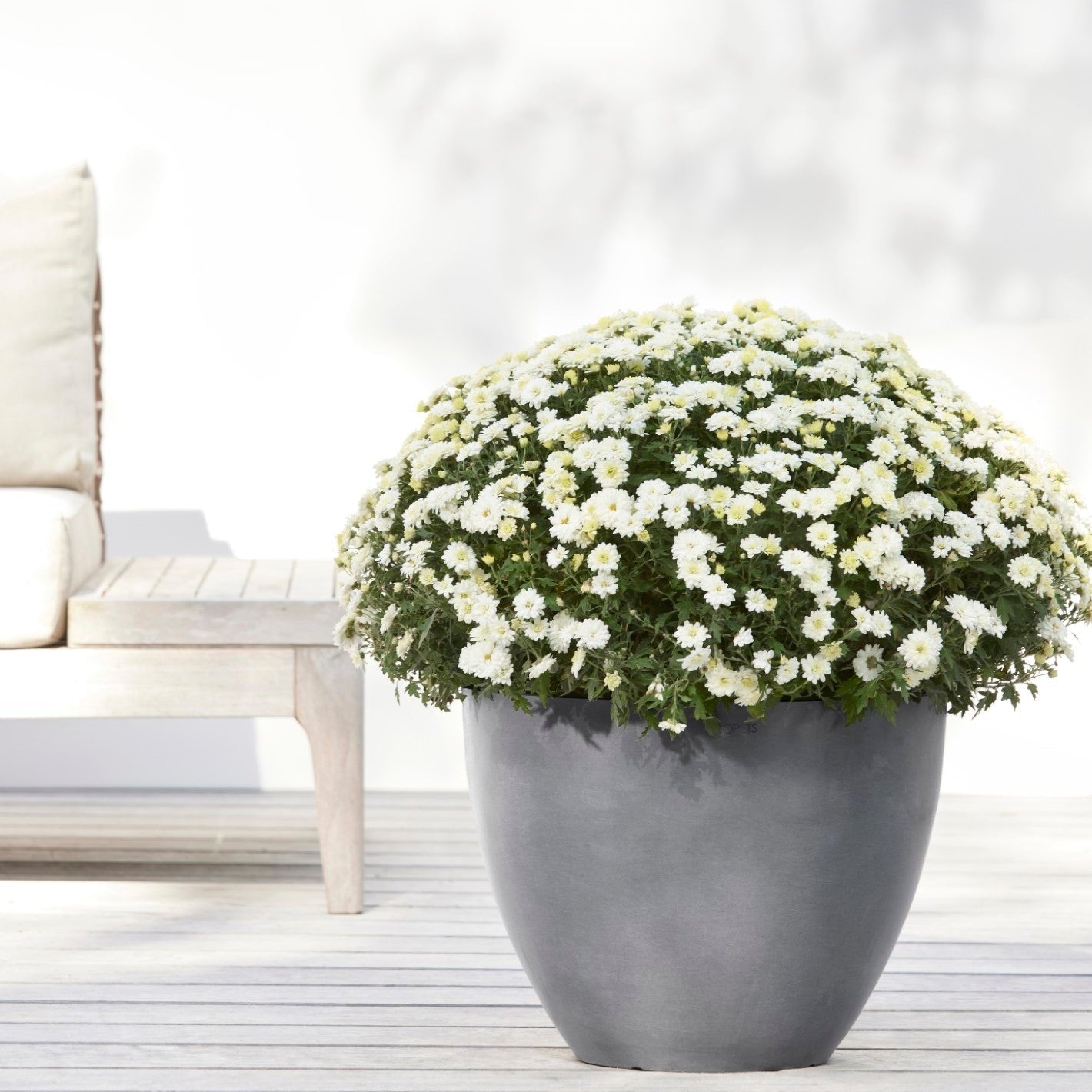 Ecopots Antwerp Ø30 H25.5 cm