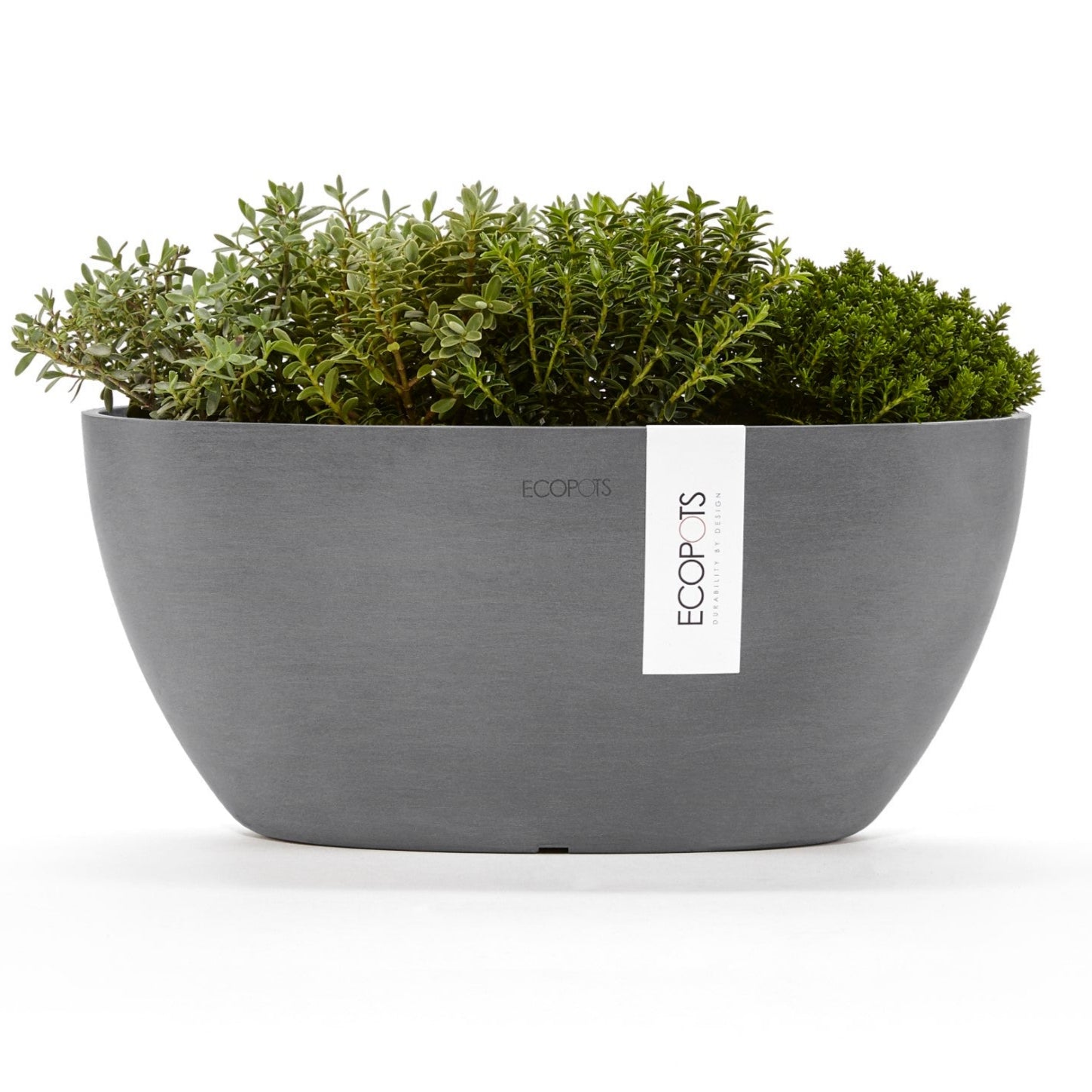 Ecopots Sofia L30 P13 H13.5 cm