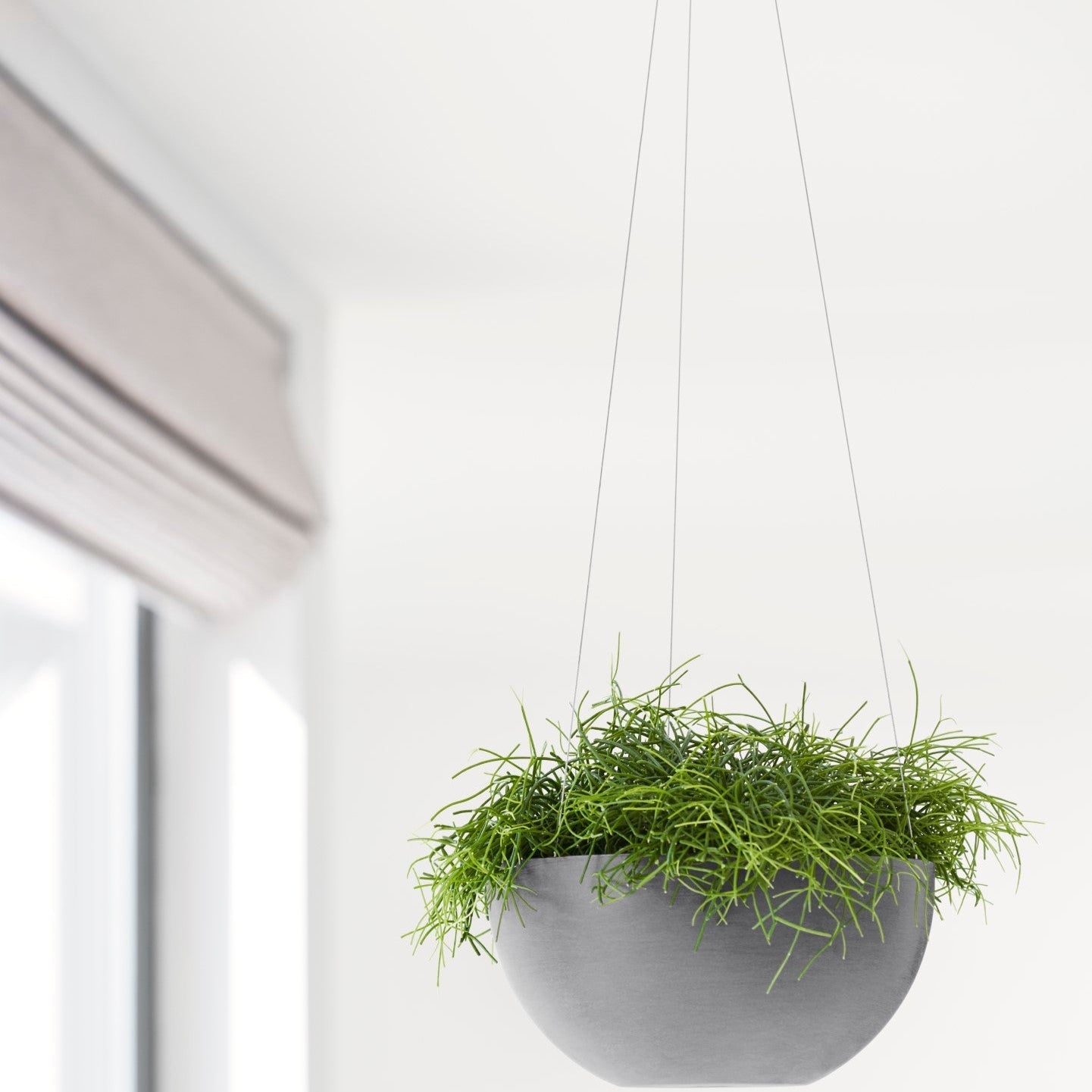 Ecopots Brussels da appendere Ø27 H13 cm