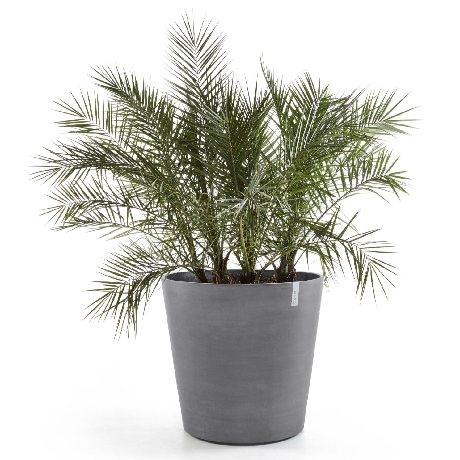 Ecopots Amsterdam Wheels Ø80 H75 cm