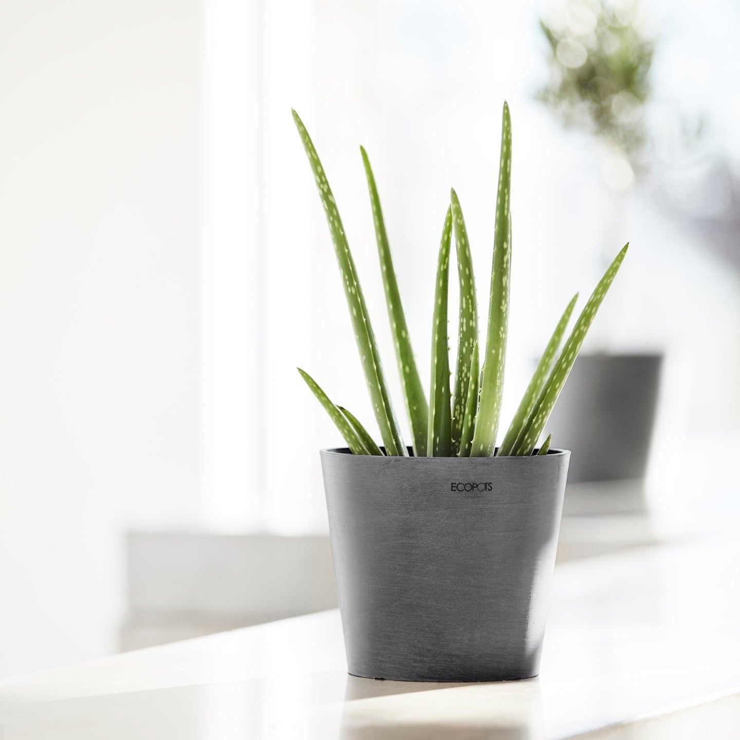 Ecopots Amsterdam Mini Ø17 H14.9 cm