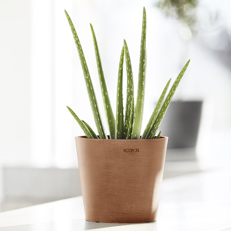 Ecopots Amsterdam Mini Ø17 H14.9 cm