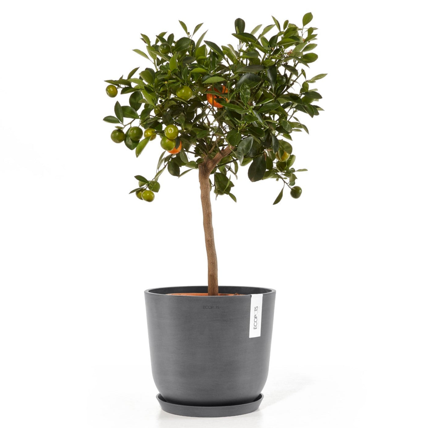 Ecopots Sottovasi tondi Ø50.5 H3.5 cm (per Amsterdam 60)