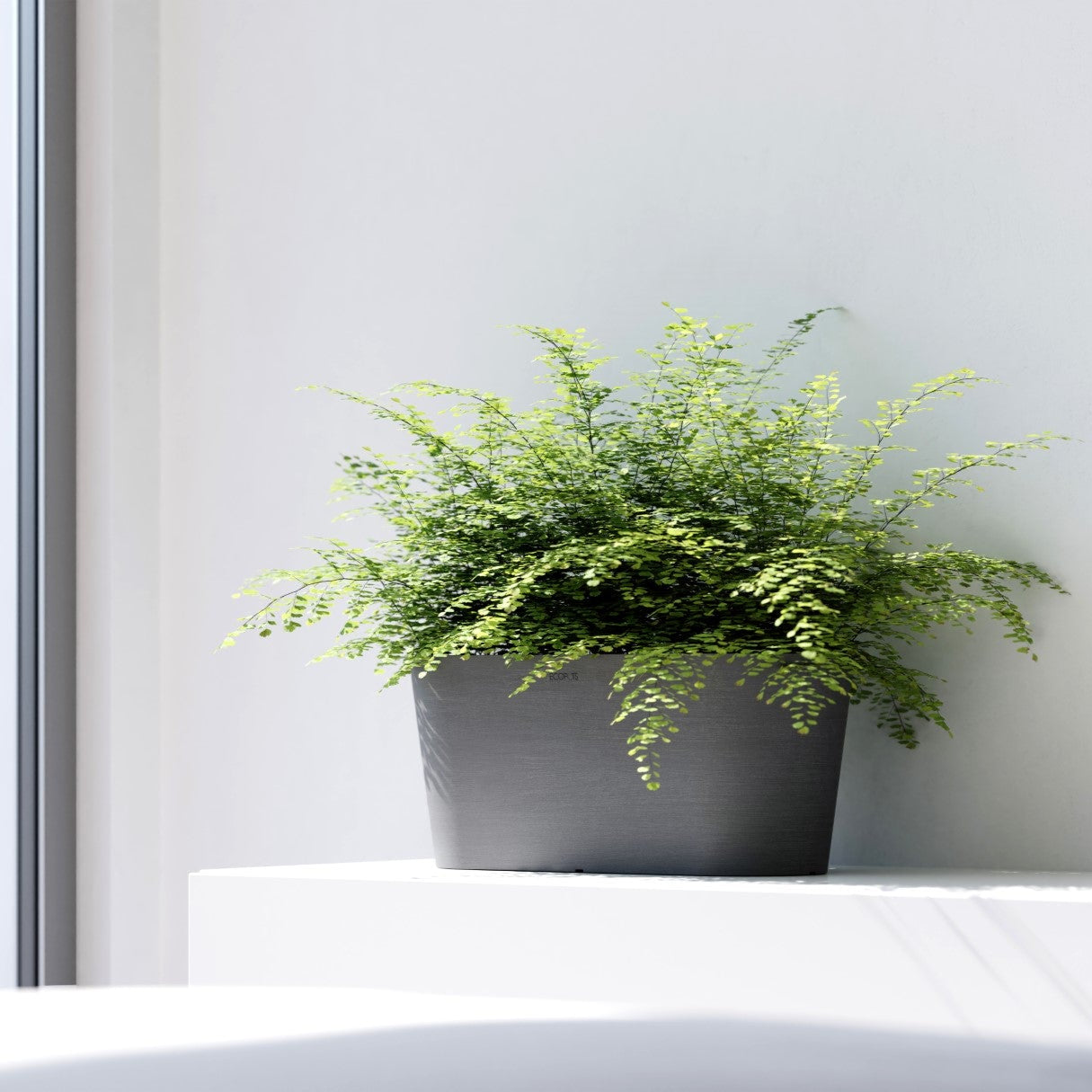 Ecopots Tokyo L30 P30 H17 cm