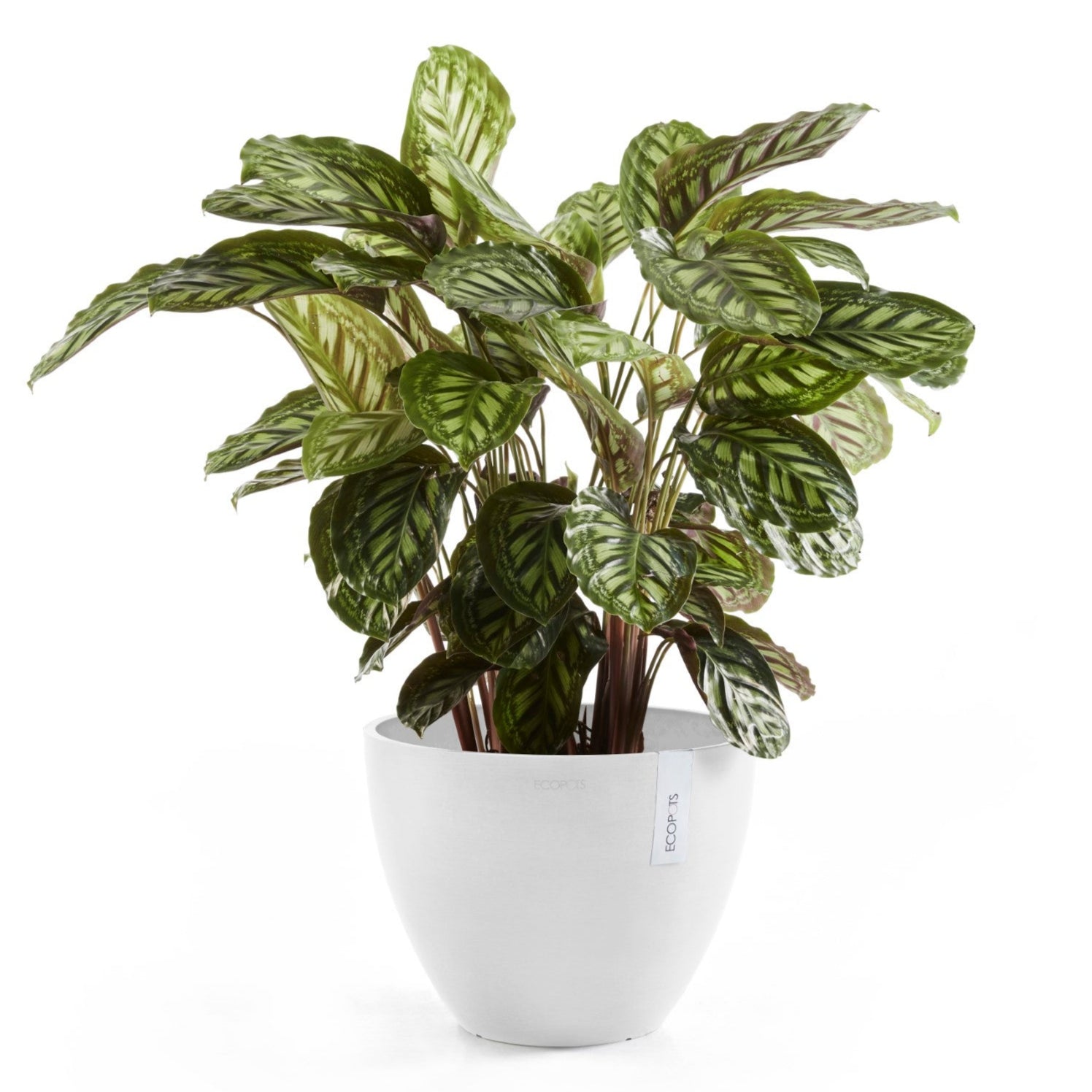 Ecopots Antwerp Ø30 H25.5 cm