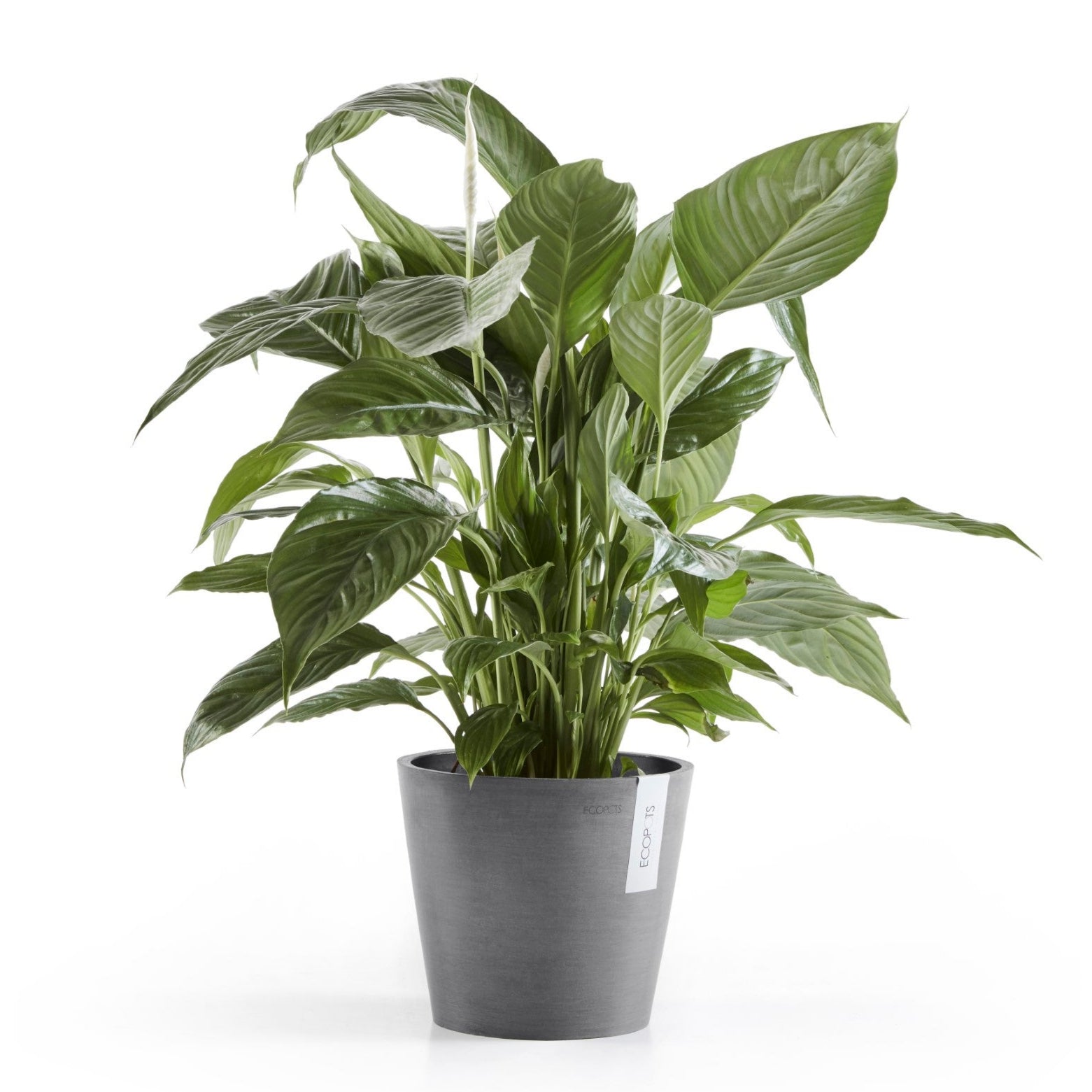 Ecopots Amsterdam Ø20 H17.5 cm