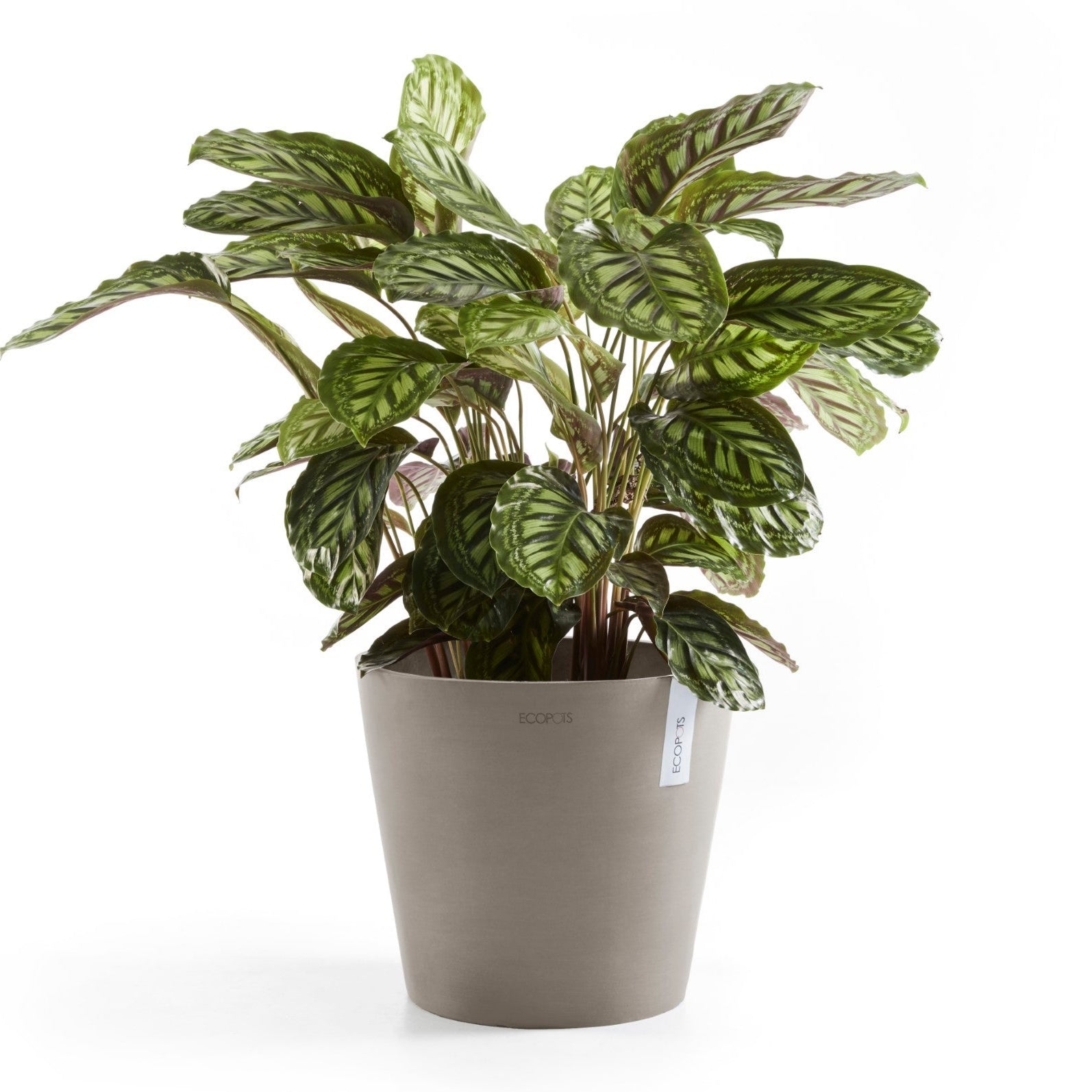 Ecopots Amsterdam Ø20 H17.5 cm