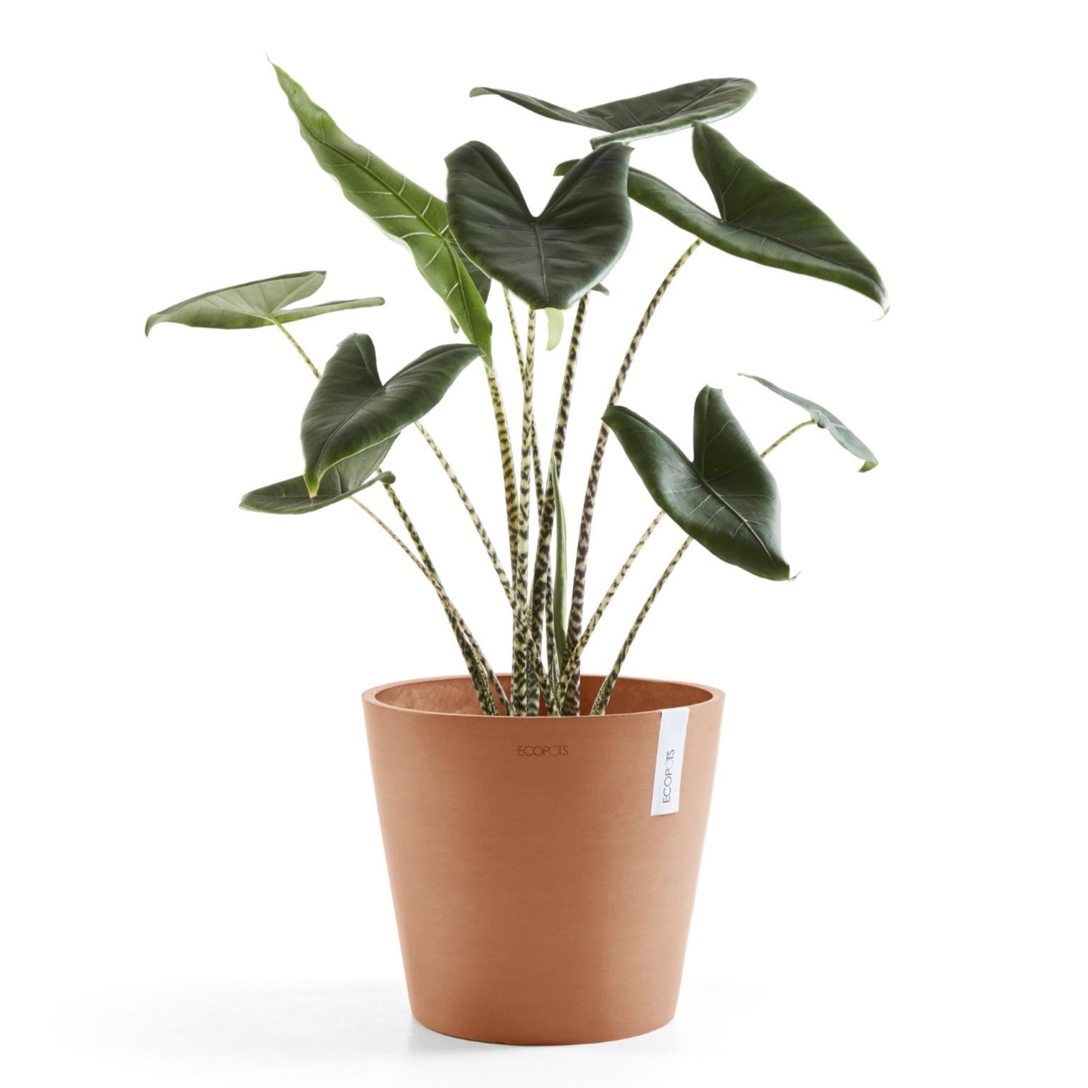 Ecopots Amsterdam Ø20 H17.5 cm