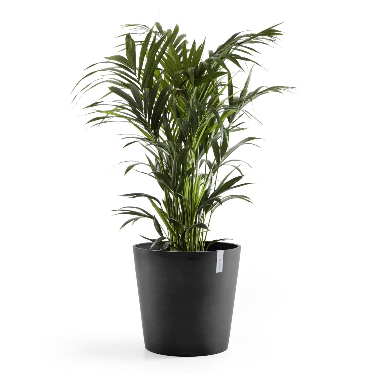 Ecopots Amsterdam Ø20 H17.5 cm