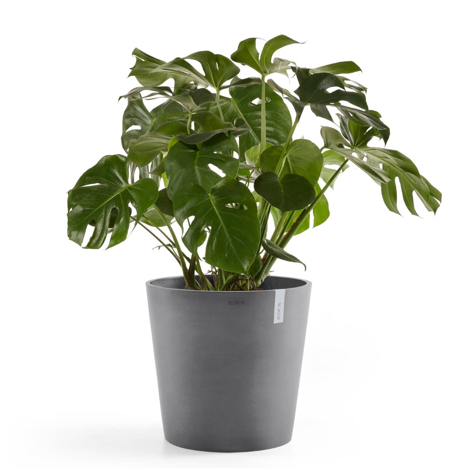 Ecopots Amsterdam Ø30 H26.5 cm