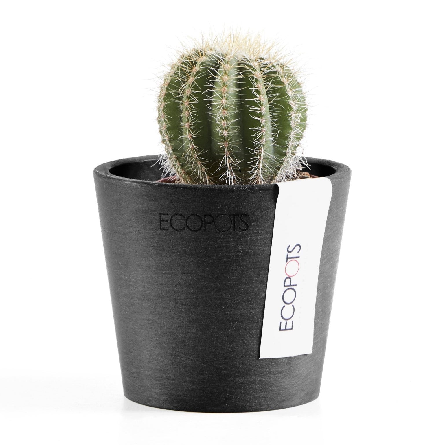 Ecopots Amsterdam Mini Ø13 H11.4 cm