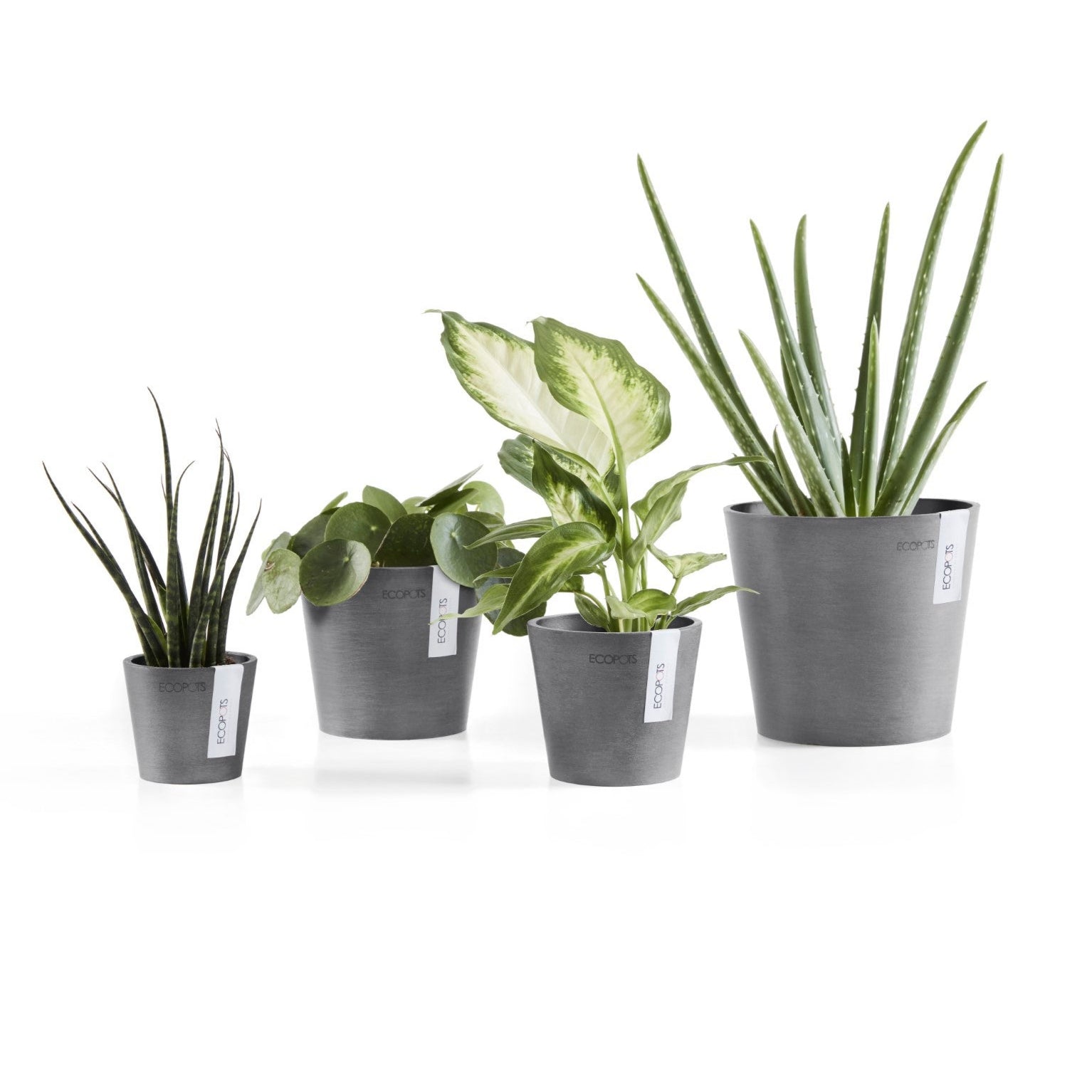 Ecopots Amsterdam Mini Ø10.5 H9.2 cm