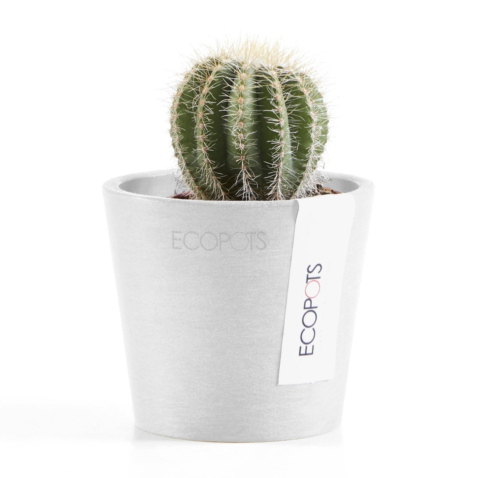 Ecopots Amsterdam Mini Ø13 H11.4 cm
