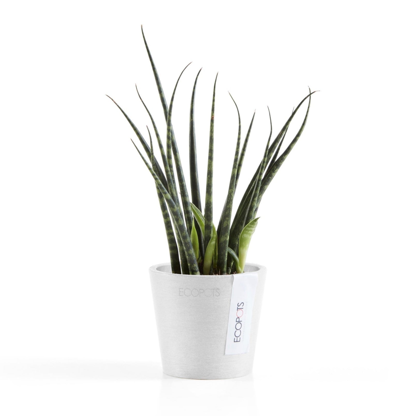Ecopots Amsterdam Mini Ø17 H14.9 cm