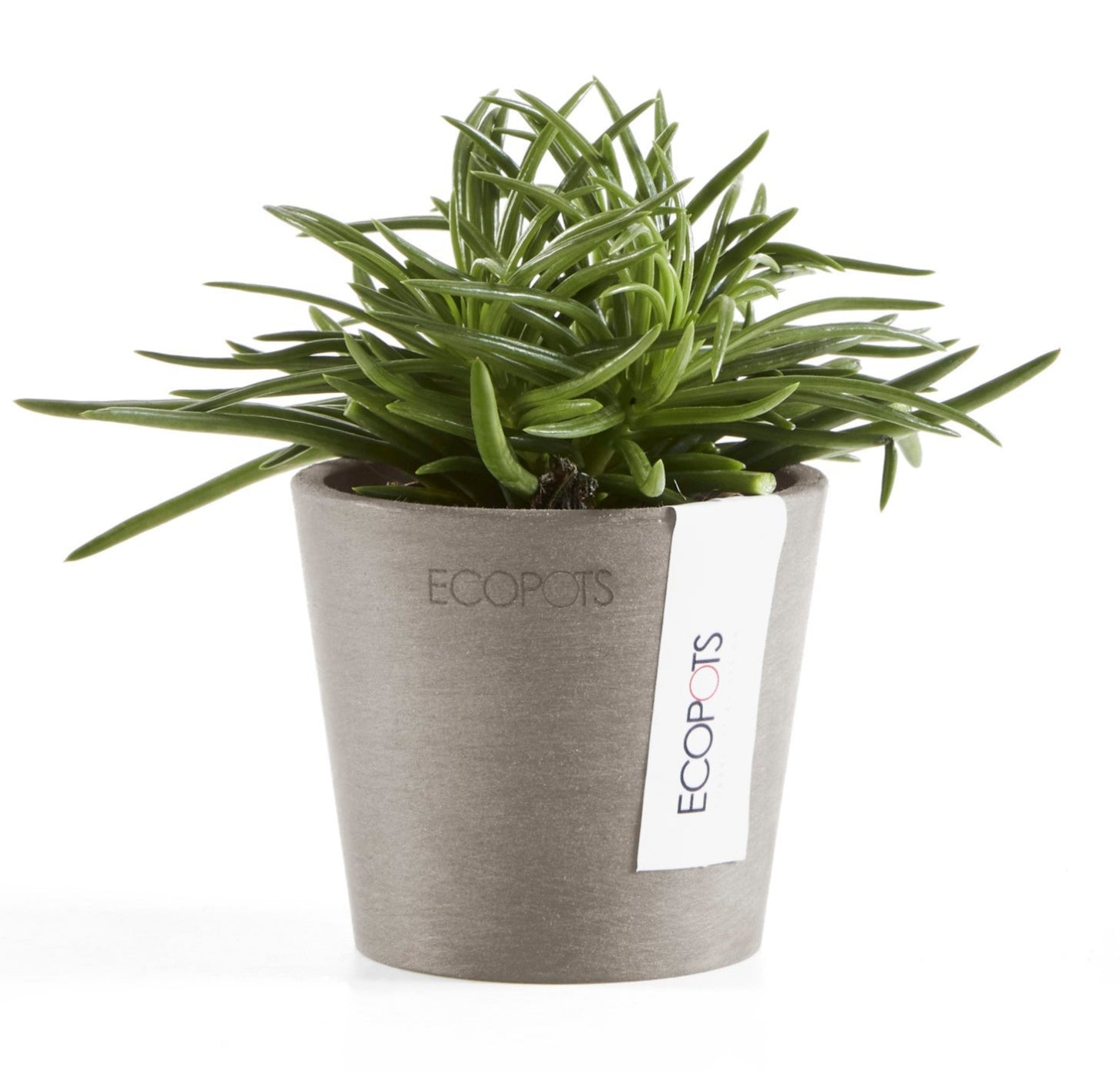 Ecopots Amsterdam Mini Ø13 H11.4 cm