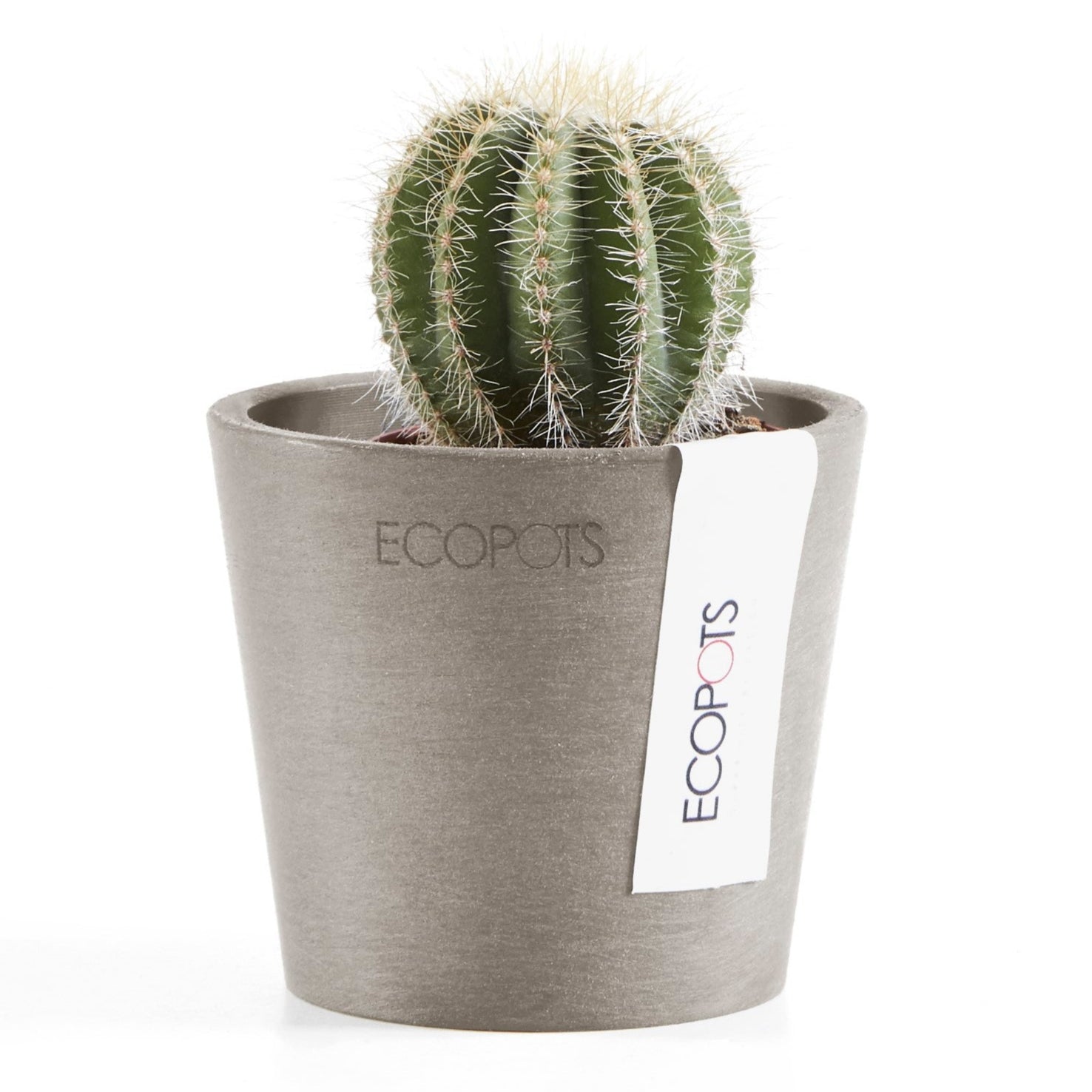 Ecopots Amsterdam Mini Ø17 H14.9 cm