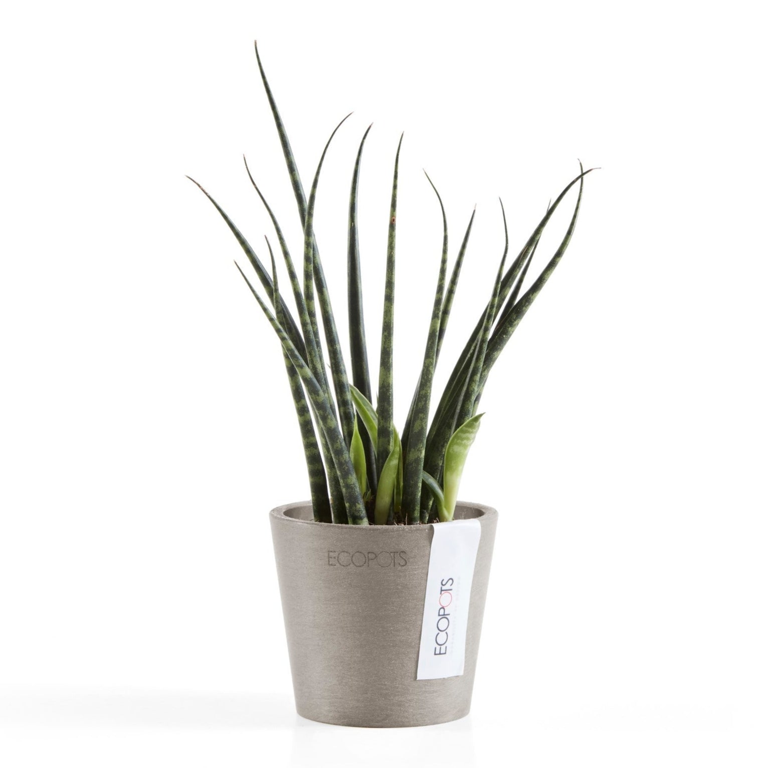 Ecopots Amsterdam Mini Ø10.5 H9.2 cm