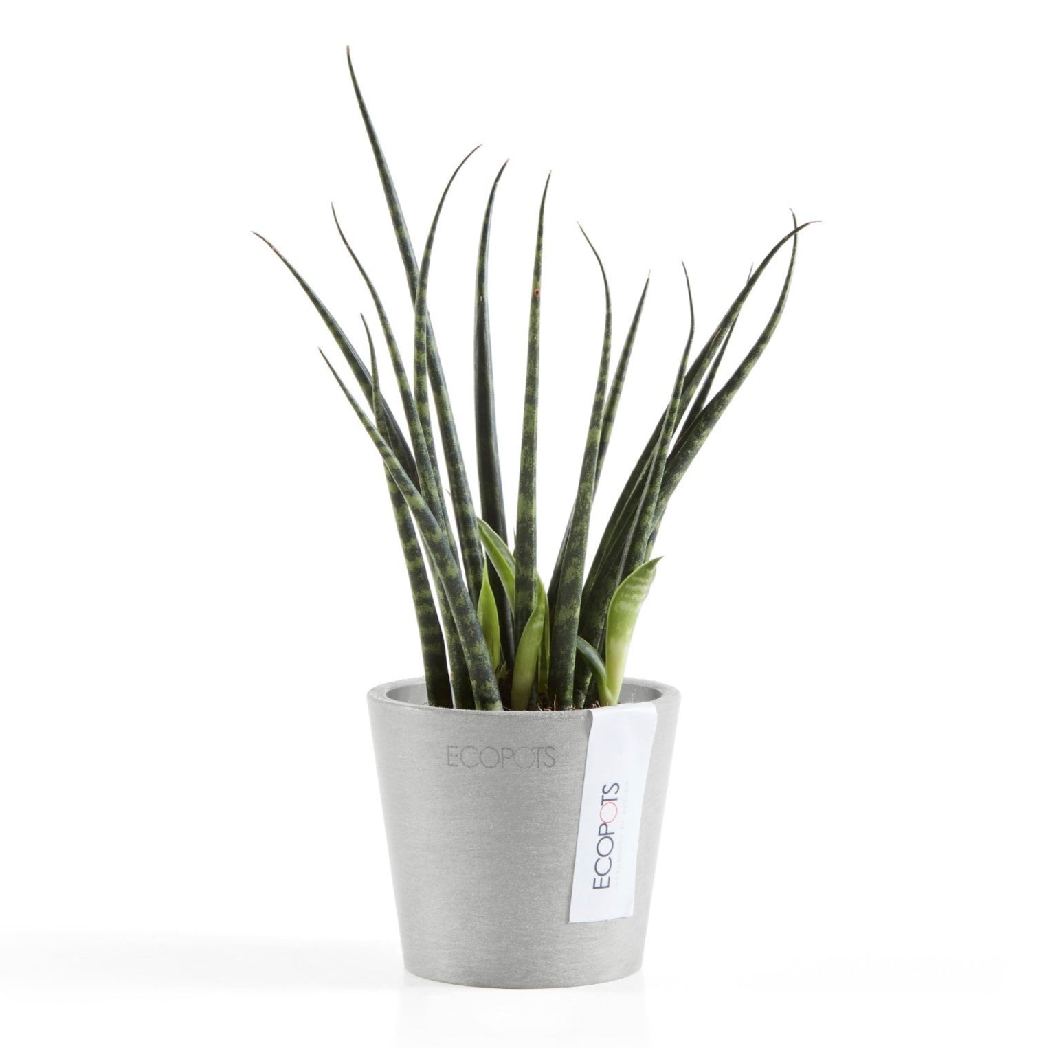 Ecopots Amsterdam Mini Ø10.5 H9.2 cm