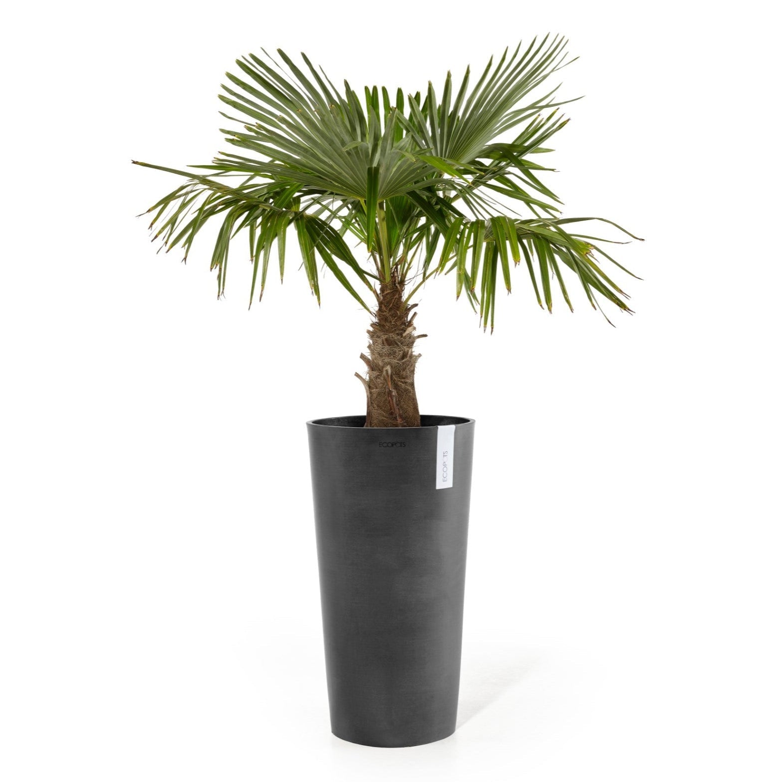 Ecopots Amsterdam High Ø33 H50 cm