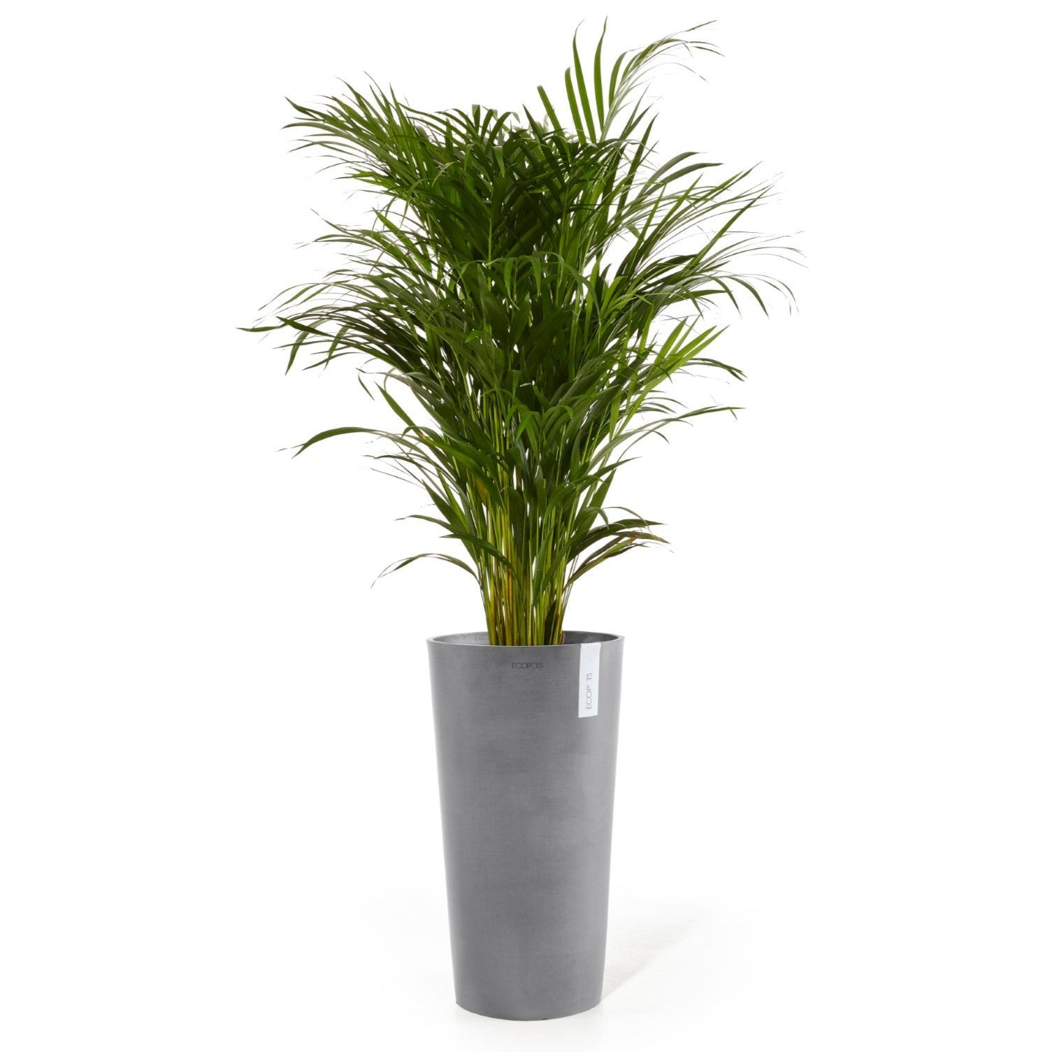 Ecopots Amsterdam High Ø33 H50 cm