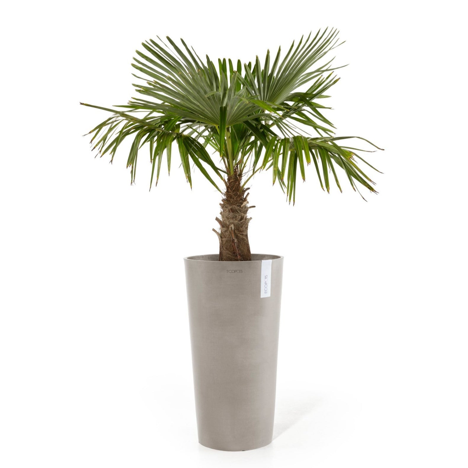 Ecopots Amsterdam High Ø33 H50 cm