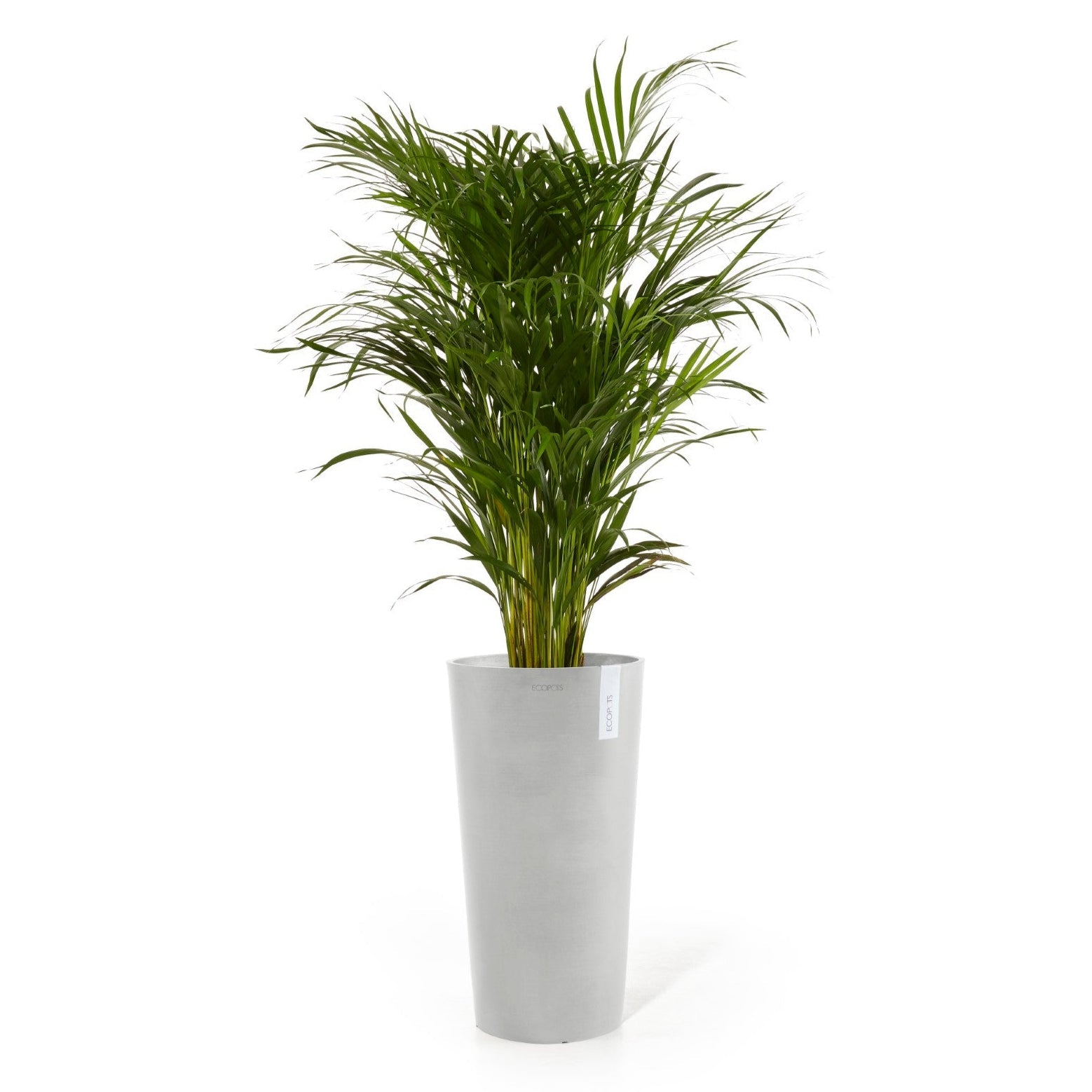 Ecopots Amsterdam High Ø33 H50 cm