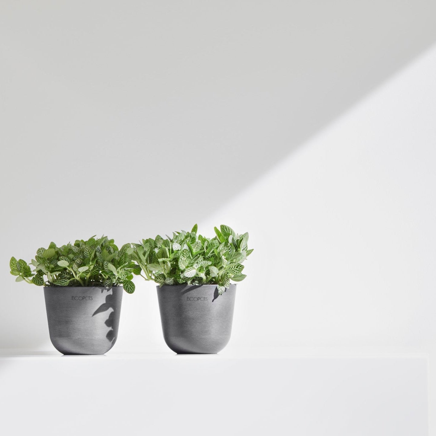 Ecopots Oslo Mini Ø11 H9.6 cm