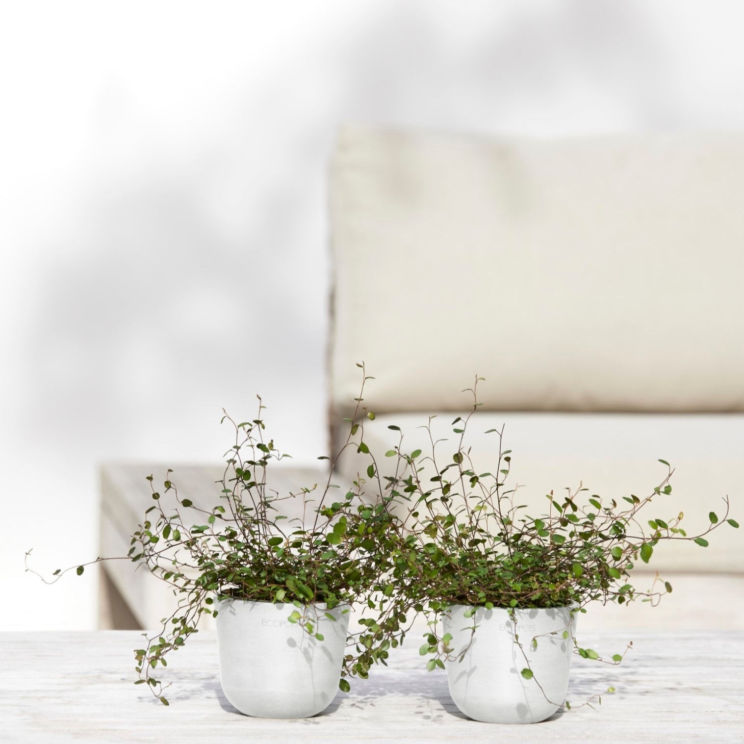 Ecopots Oslo Mini Ø19 H16.5 cm