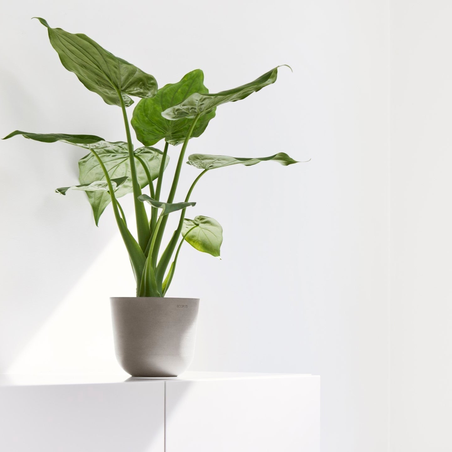 Ecopots Oslo Mini Ø19 H16.5 cm