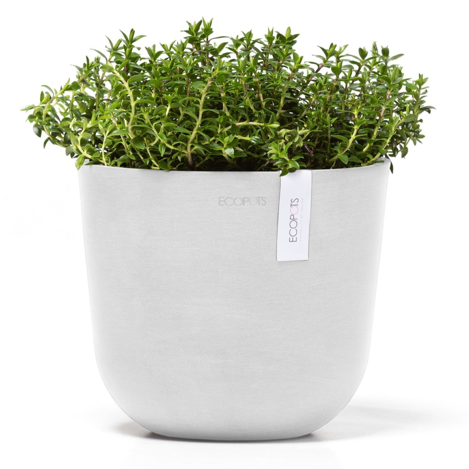 Ecopots Oslo Mini Ø11 H9.6 cm