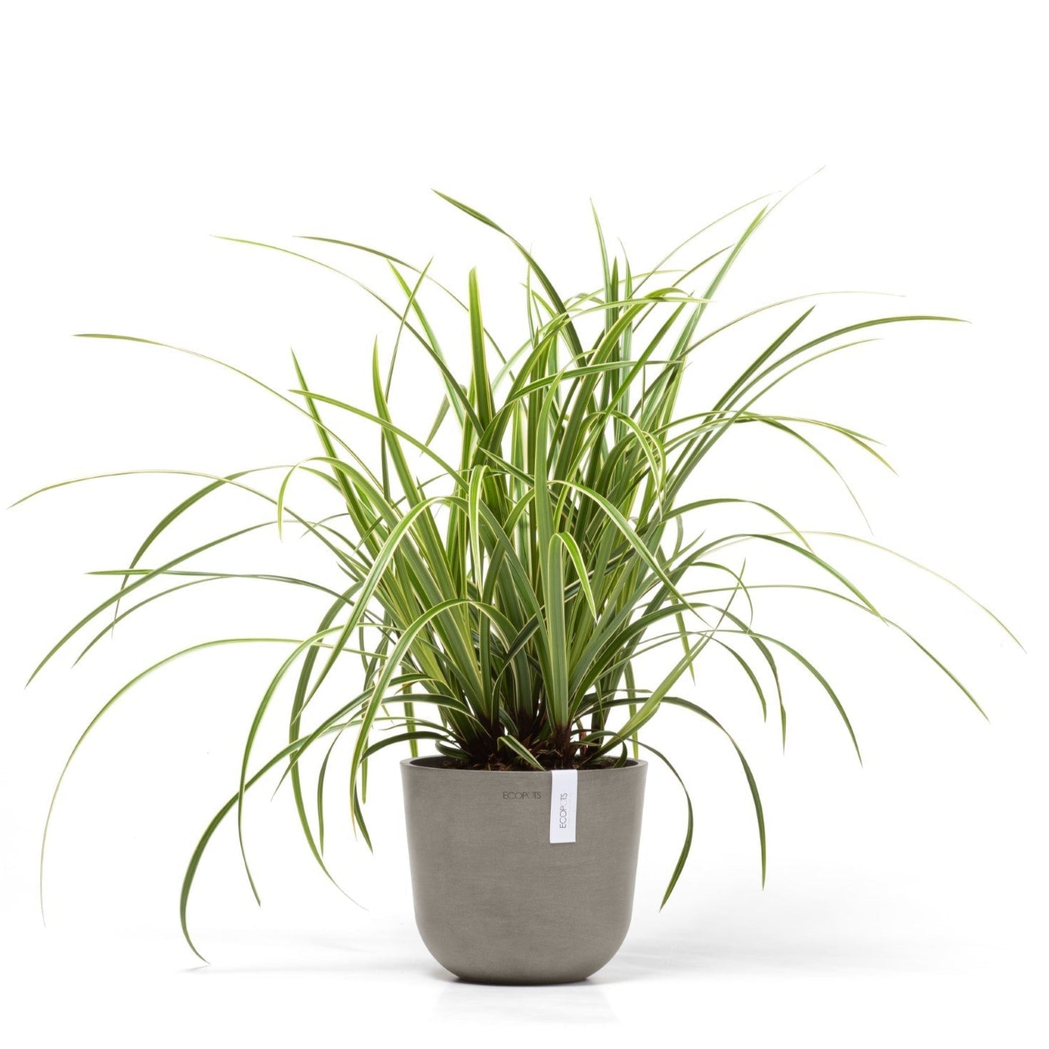 Ecopots Oslo Mini Ø11 H9.6 cm