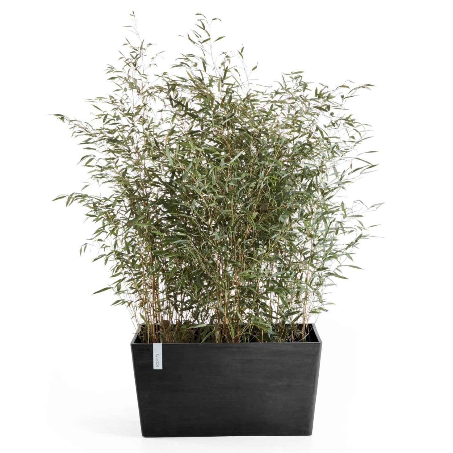 Ecopots Paris L80 P38 H40.5 cm