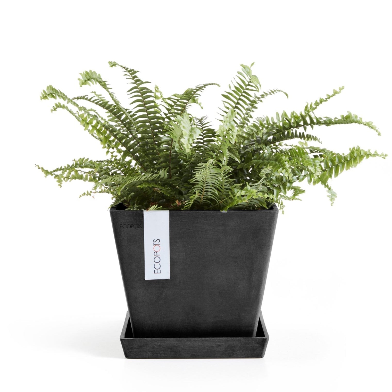 Ecopots Sottovasi quadrati L28 P28 H3 cm (per Rotterdam 30/Rotterdam High 70)