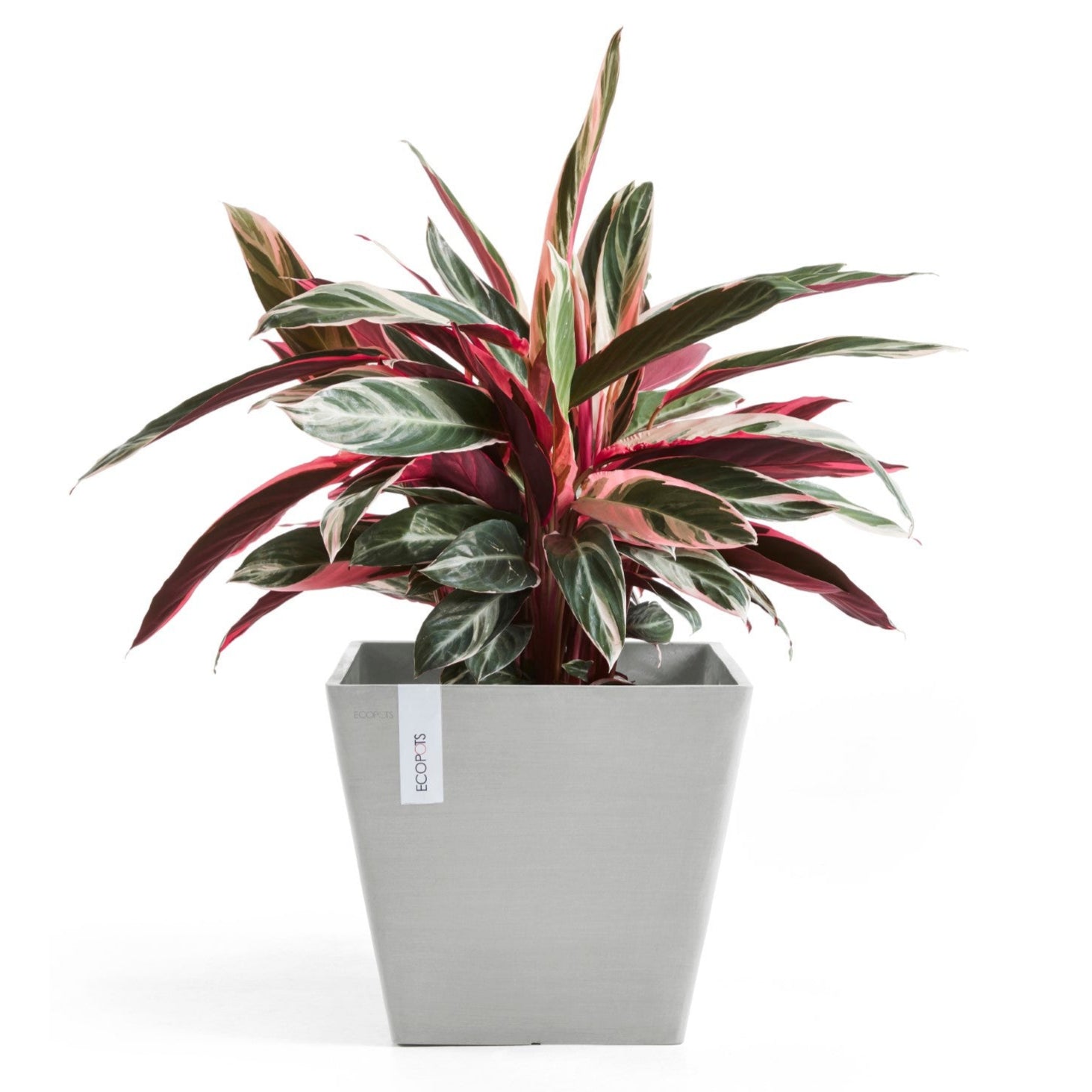 Ecopots Rotterdam L30 P30 H26.5 cm