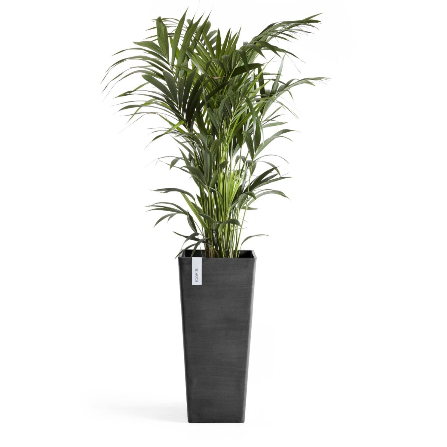 Ecopots Rotterdam High  L32.5 P32.5 H70 cm