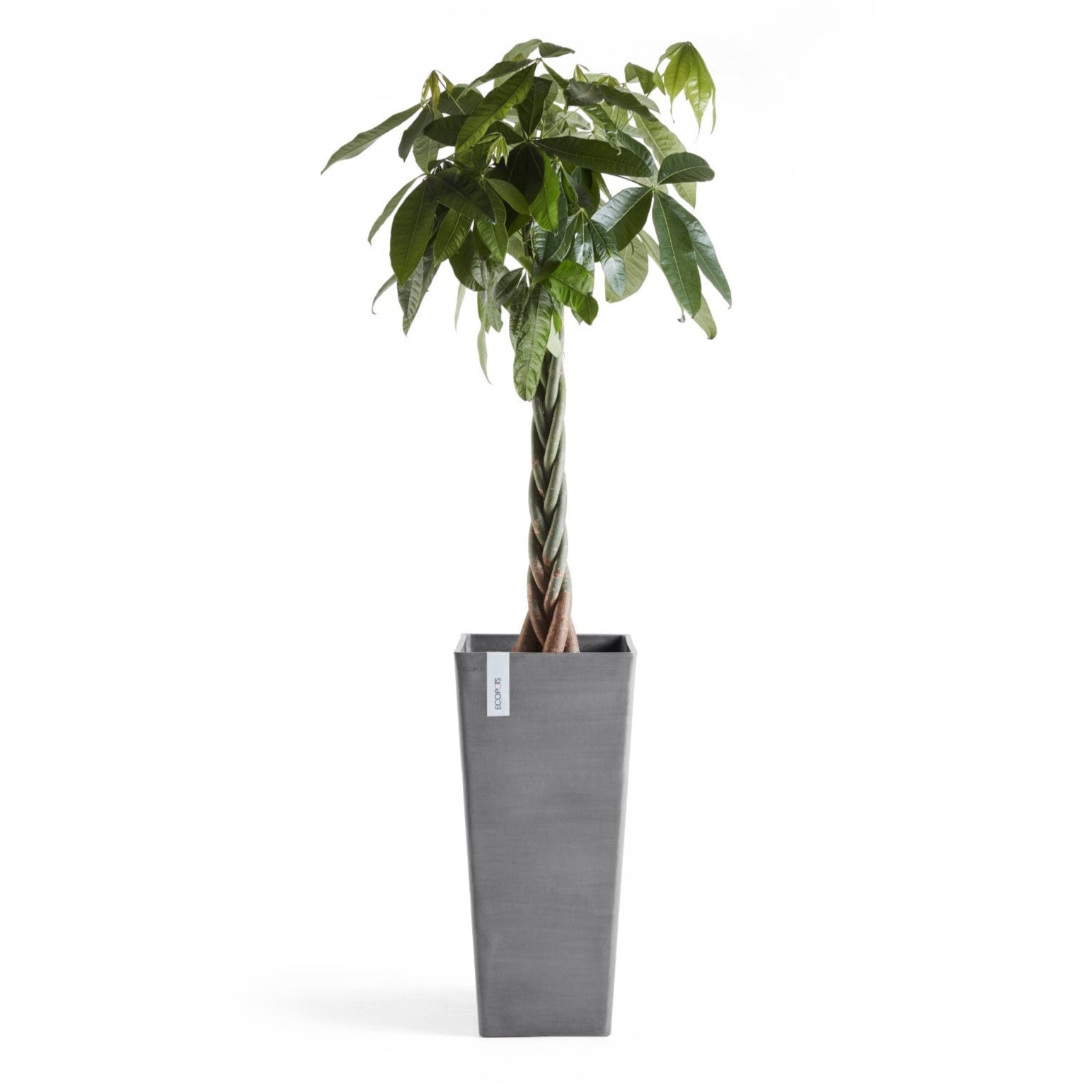 Ecopots Rotterdam High  L32.5 P32.5 H70 cm