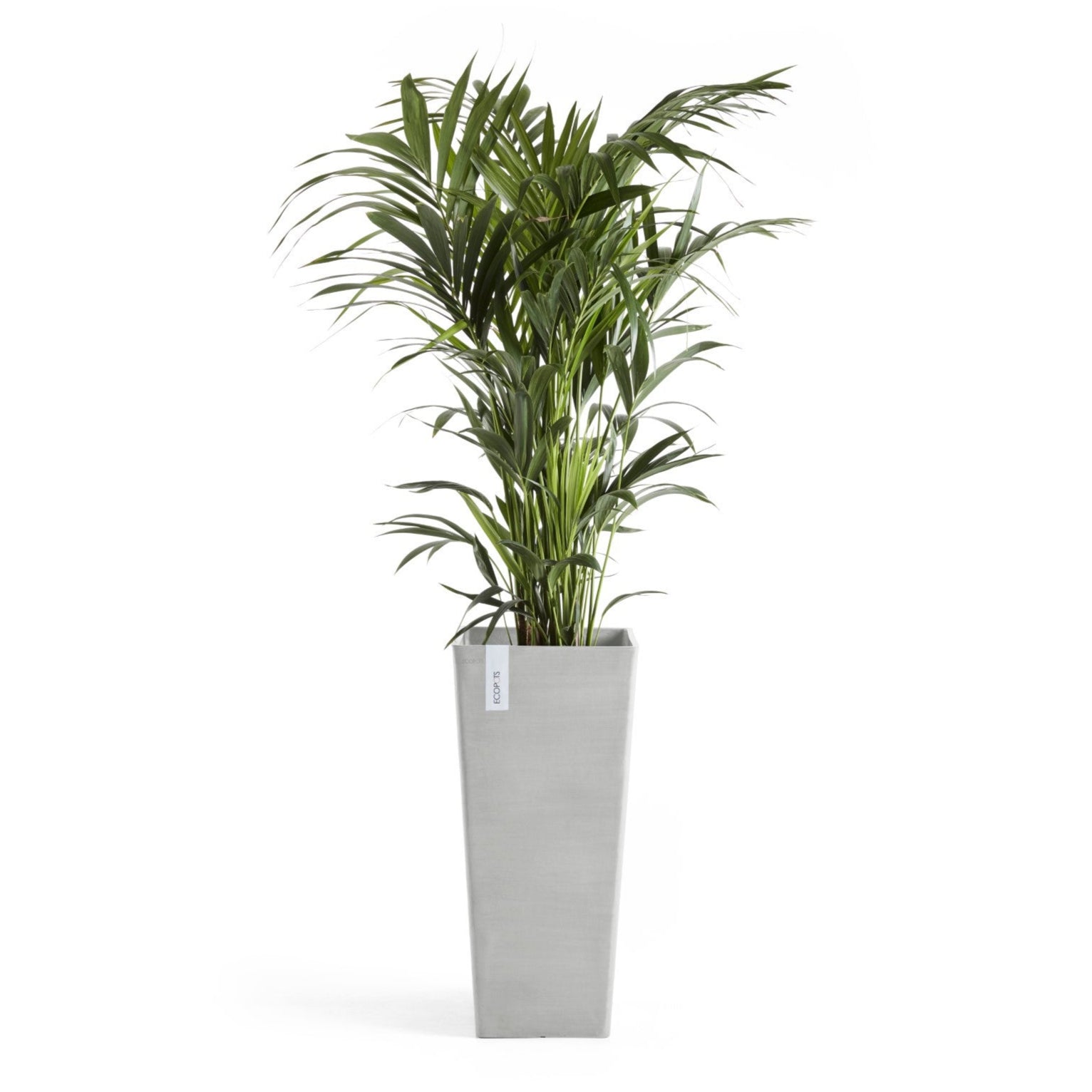 Ecopots Rotterdam High  L32.5 P32.5 H70 cm