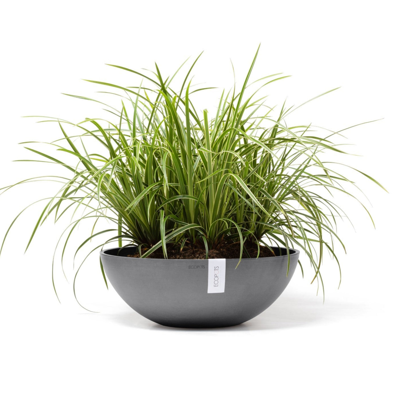 Ecopots Vienna Ø50 H18 cm