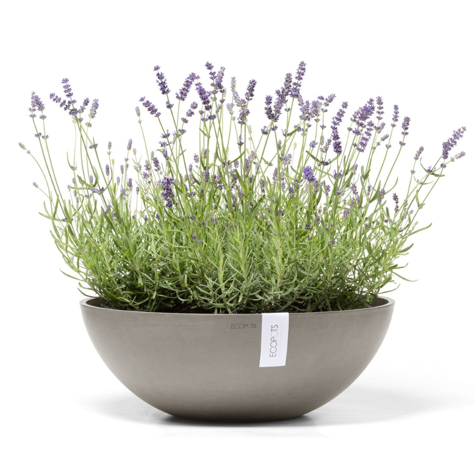 Ecopots Vienna Ø50 H18 cm